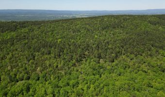TRACT 40 TRAIL RIDGE ROAD, Albion, OK 74571