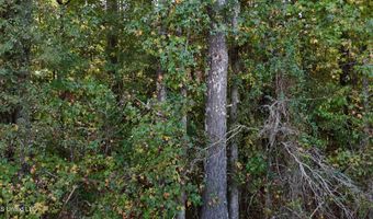 Old Pinola Braxton Road, Braxton, MS 39044