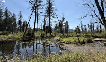 54432 MCKENZIE Hwy 1, Blue River, OR 97413