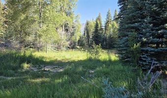 201 Golden Forest Rd, Bayfield, CO 81122