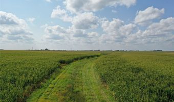 Marsh Avenue, Allison, IA 50602