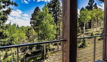 25 Los Alamos Cir, Angel Fire, NM 87710