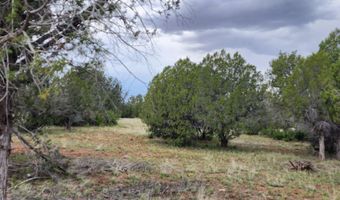 97 C Rattlesnake, Ash Fork, AZ 86320