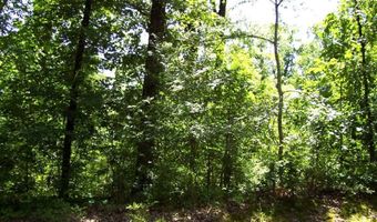 1131 LR 35, Ashdown, AR 71822