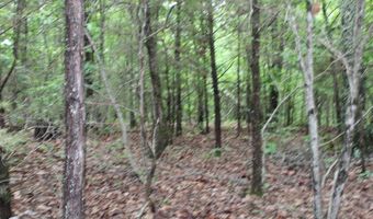 E Mountain Road, Bee Branch, AR 72013