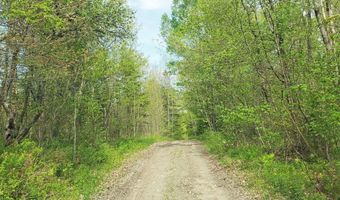Pleasent Pond Road lot 7, Atkinson, ME 04426
