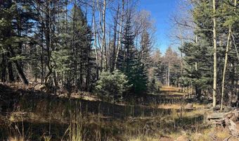 Rainbow Overlook lot 1227, Angel Fire, NM 87710