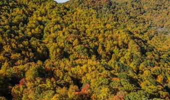 99999 Harwood Rd, Barnardsville, NC 28709