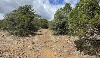 415 XYZ, Arenas Valley, NM 88022