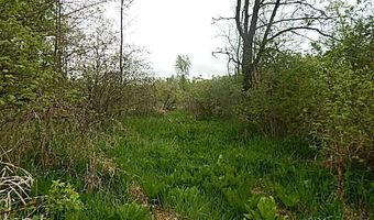 15252 27 Mile Rd, Albion, MI 49224