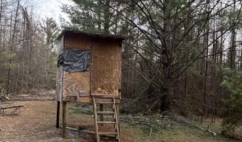 5280 Cathro Rd, Alpena, MI 49707