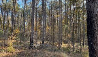 Hwy 9, Bruce, MS 38915