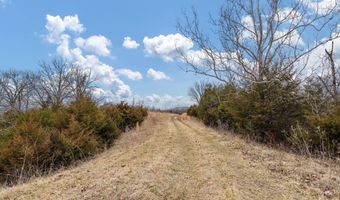 Smithtown Road, Afton, TN 37616