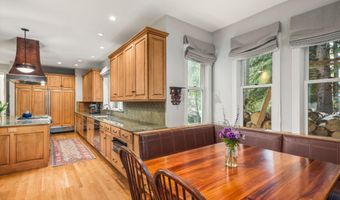 431 W Hopkins Ave, Aspen, CO 81611