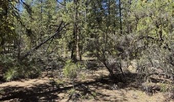 Horned Owl Lane, Bonanza, OR 97623