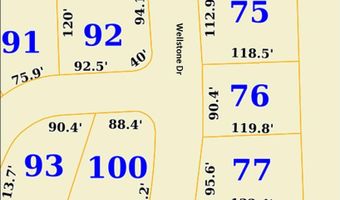 Wellstone lot 4, Belden, MS 38826