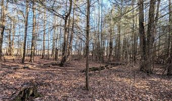 South Road, Addison, NY 14801
