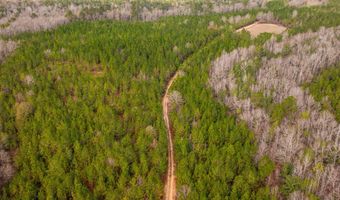 001 Old Stage Rd, Atmore, AL 36502