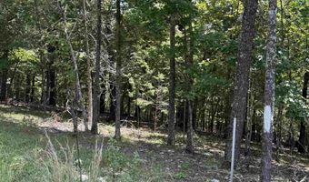 0 County Road 35, Clarkridge, AR 72623