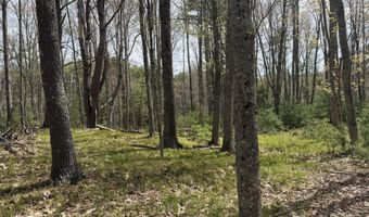 Freda's Lane, Arrowsic, ME 04530