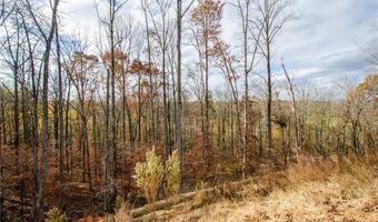 8555 Scenic Ridge Way, Ball Ground, GA 30107
