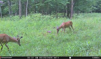 694 A Tunnel Ridge Rd, Argillite, KY 41121
