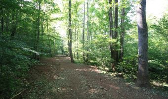 TBA BETTYS BRANCH RD X, Arvonia, VA 23004