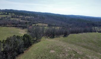 2665 Mt. Carmel Rd, Altoona, AL 35952