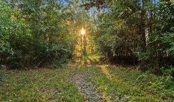 15804 Peapatch Rd, Biloxi, MS 39532