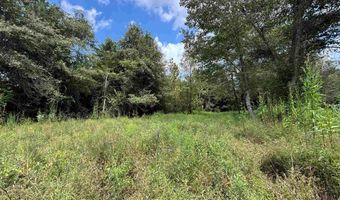 6150 SHOAL CREEK Rd 124+/- Acres, Ashville, AL 35953
