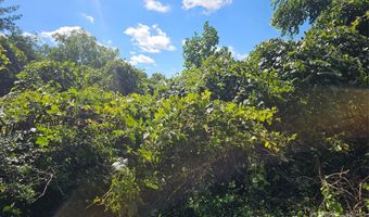 97 Destination Dr, Asheville, NC 28806