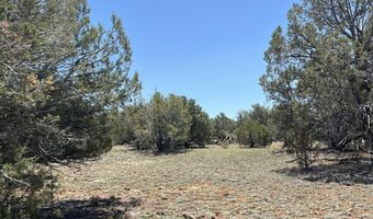 61 Norma Sw4 Rd, Ash Fork, AZ 86320