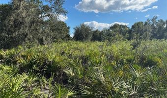 0 ALTURAS BABSON PARK CUT OFF Rd, Bartow, FL 33830