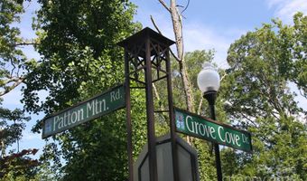68 Wolfebridge Ln 16, Asheville, NC 28804
