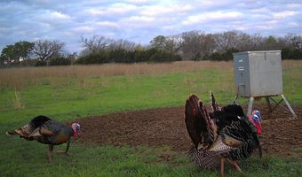 334 Private Road 2483, Hico, TX 76457