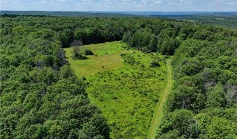 9085 Old State Rd, Angelica, NY 14709