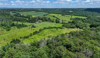9085 Old State Rd, Angelica, NY 14709