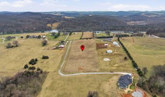 972 Cliff Top Rd, Blaine, TN 37709