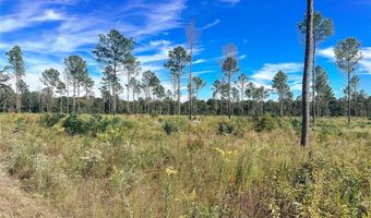Tbd CR 4328, De Kalb, TX 75559