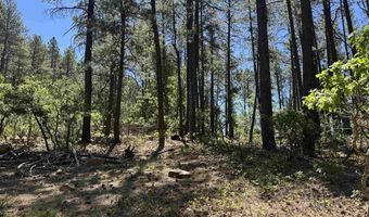 216 Fawn Dr, Bayfield, CO 81122