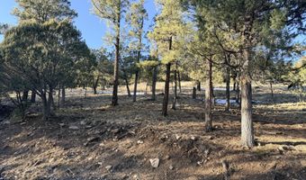 Bobcat Trail lot T43c, Alto, NM 88312