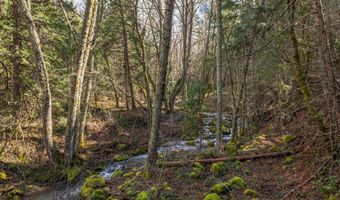2829 Buckhorn Springs Rd, Ashland, OR 97520