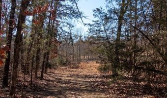 3968 Highway 167, Ash Flat, AR 72513