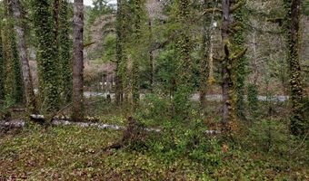 E Barlow Trail Rd, Brightwood, OR 97011