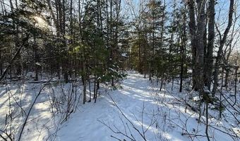 US-1 lot 10, Baring Plt, ME 04694