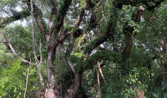 139 8th St, Apalachicola, FL 32320