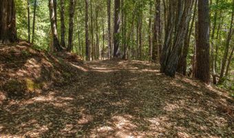 33790 Annapolis Rd, Annapolis, CA 95412
