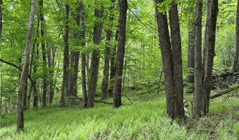 Woodland Hills Road, Andes, NY 13731