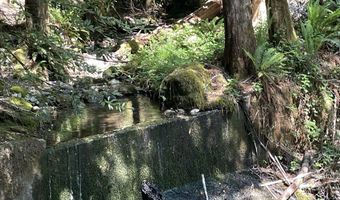 Agness-Illahe Rd, Agness, OR 97406