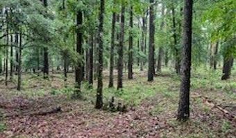 450 Apple Trl, Bogue Chitto, MS 39629